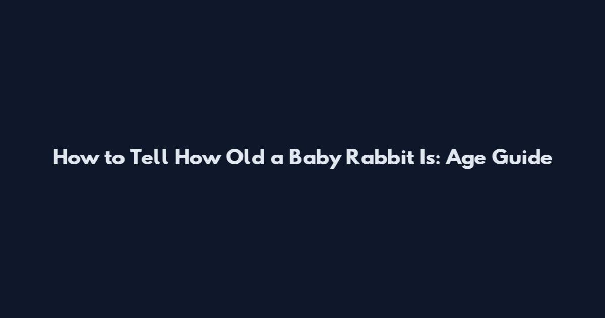 How to Tell How Old a Baby Rabbit Is: Age Guide