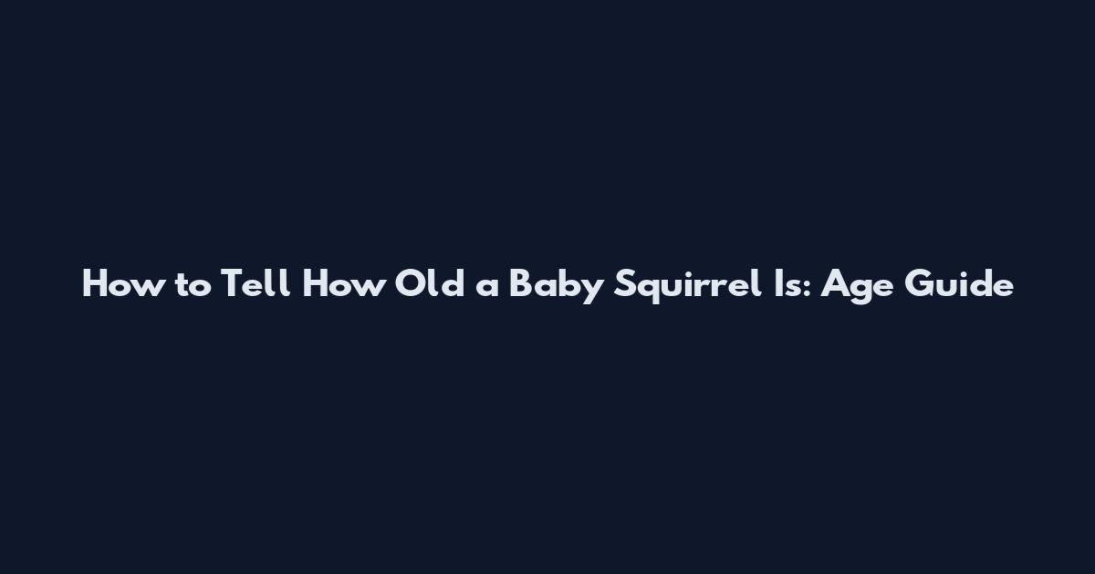 How to Tell How Old a Baby Squirrel Is: Age Guide