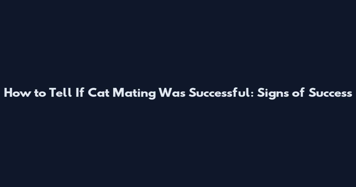 How to Tell If Cat Mating Was Successful: Signs of Success