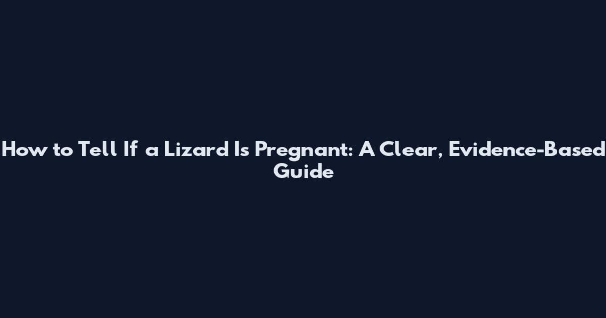 How to Tell If a Lizard Is Pregnant: A Clear, Evidence-Based Guide