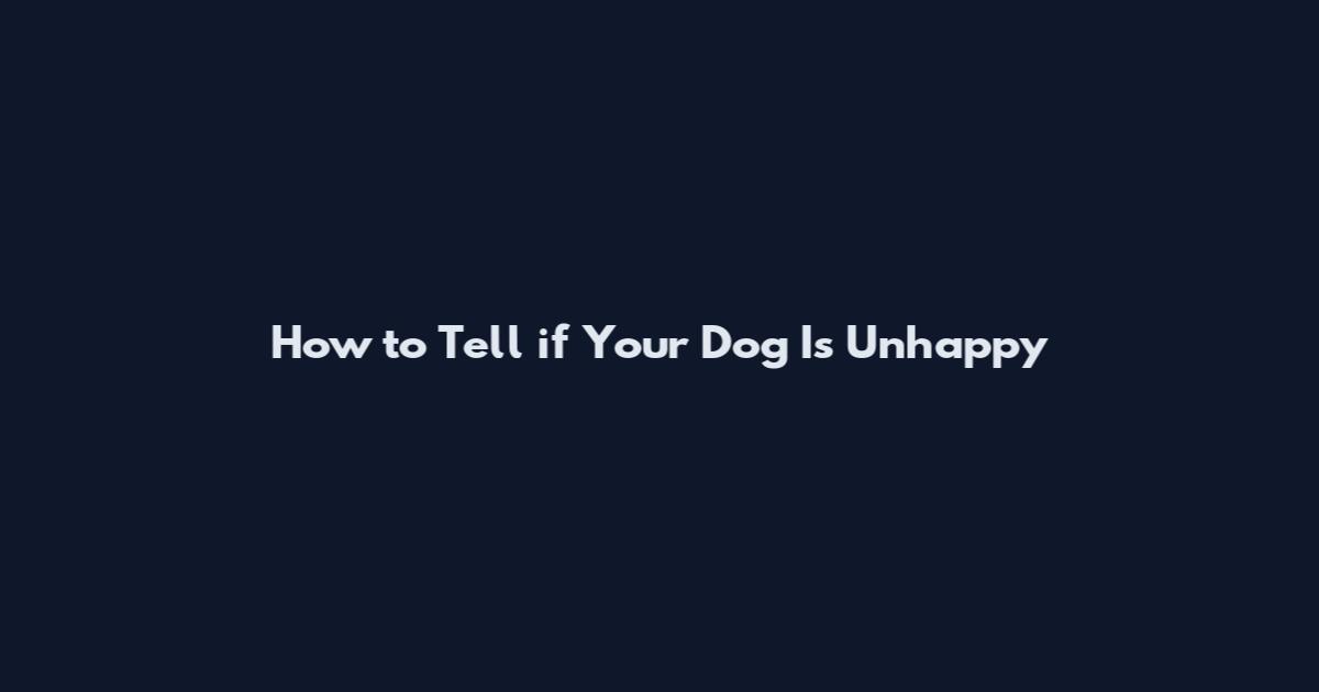 How to Tell if Your Dog Is Unhappy