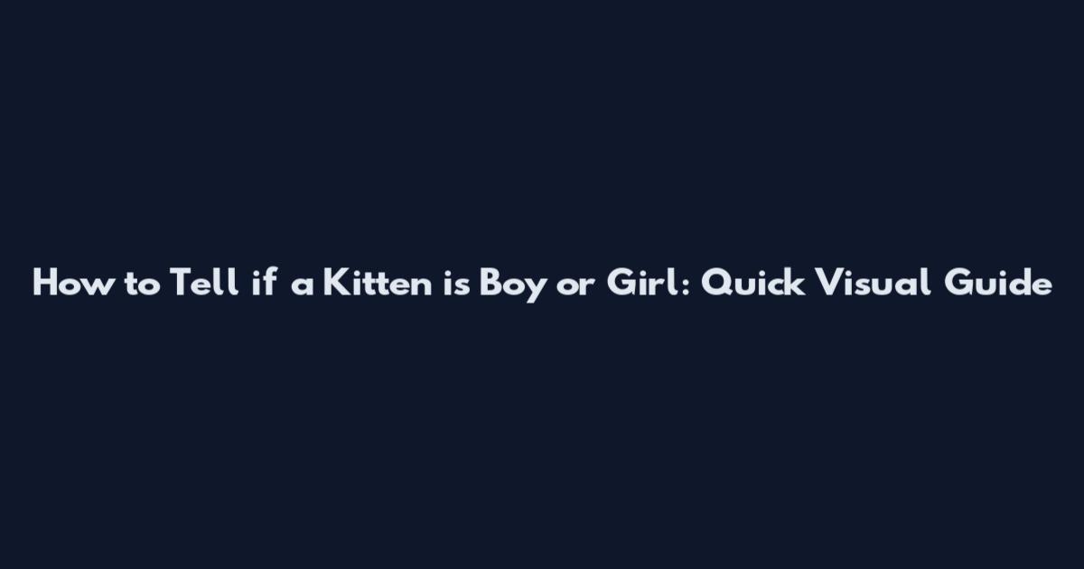 How to Tell if a Kitten is Boy or Girl: Quick Visual Guide