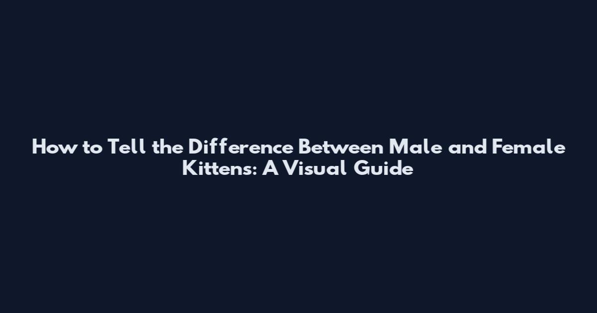 How to Tell the Difference Between Male and Female Kittens: A Visual Guide