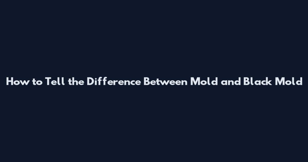 How to Tell the Difference Between Mold and Black Mold
