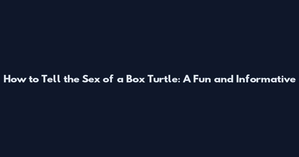 How to Tell the Sex of a Box Turtle: A Fun and Informative