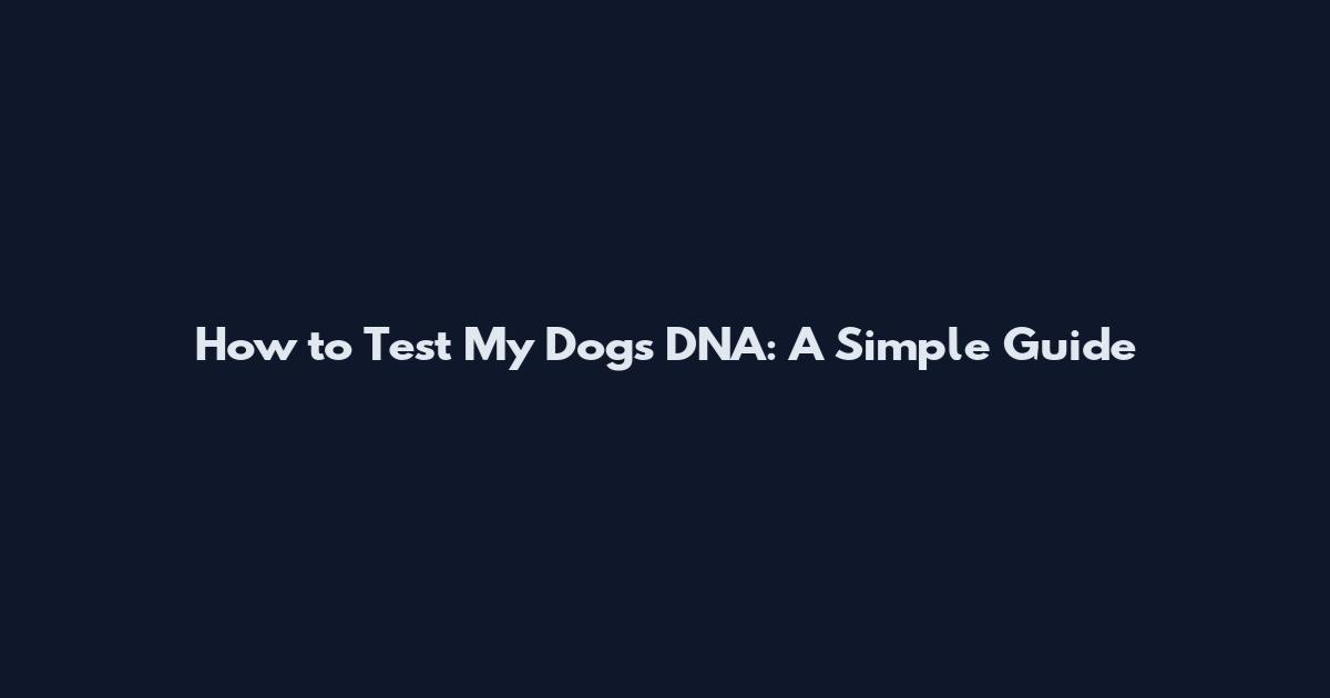 How to Test My Dog's DNA: A Simple Guide