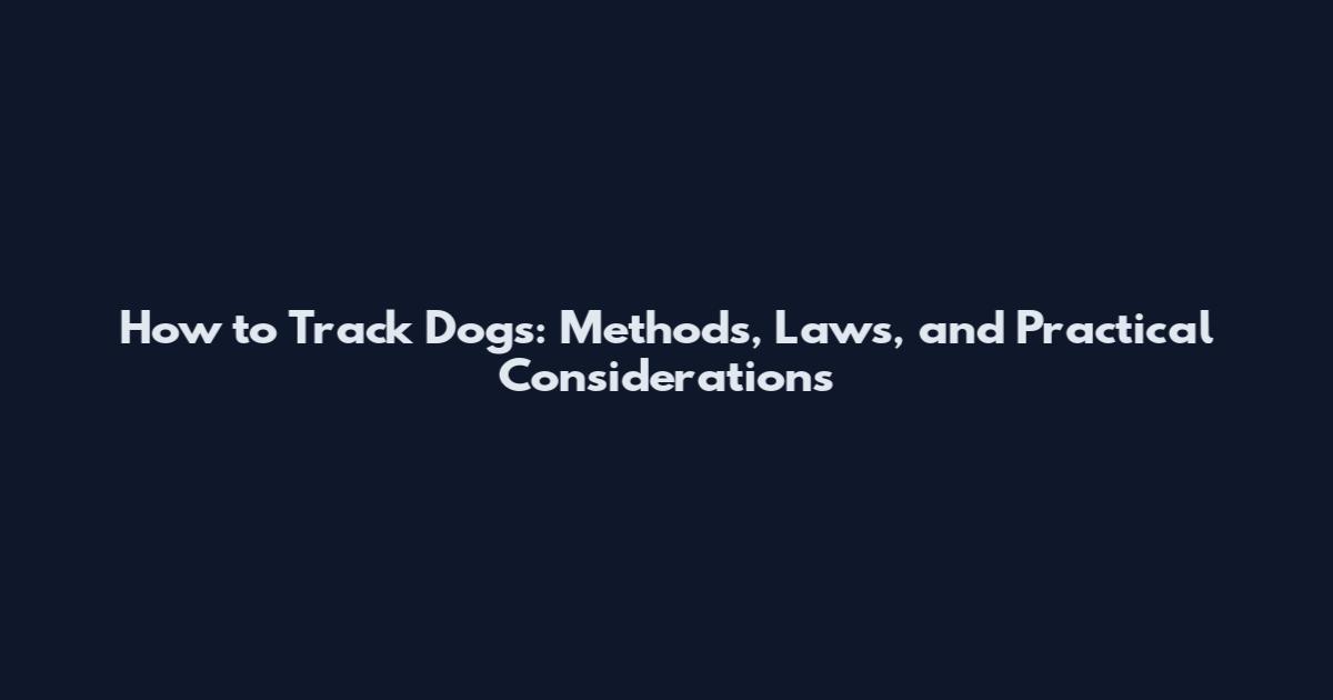 How to Track Dogs: Methods, Laws, and Practical Considerations