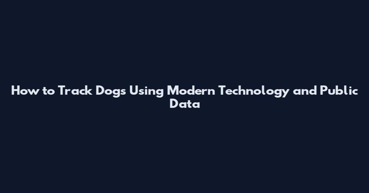 How to Track Dogs Using Modern Technology and Public Data