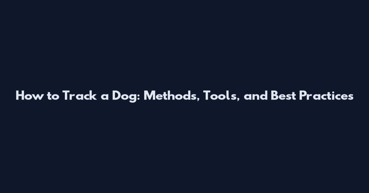 How to Track a Dog: Methods, Tools, and Best Practices