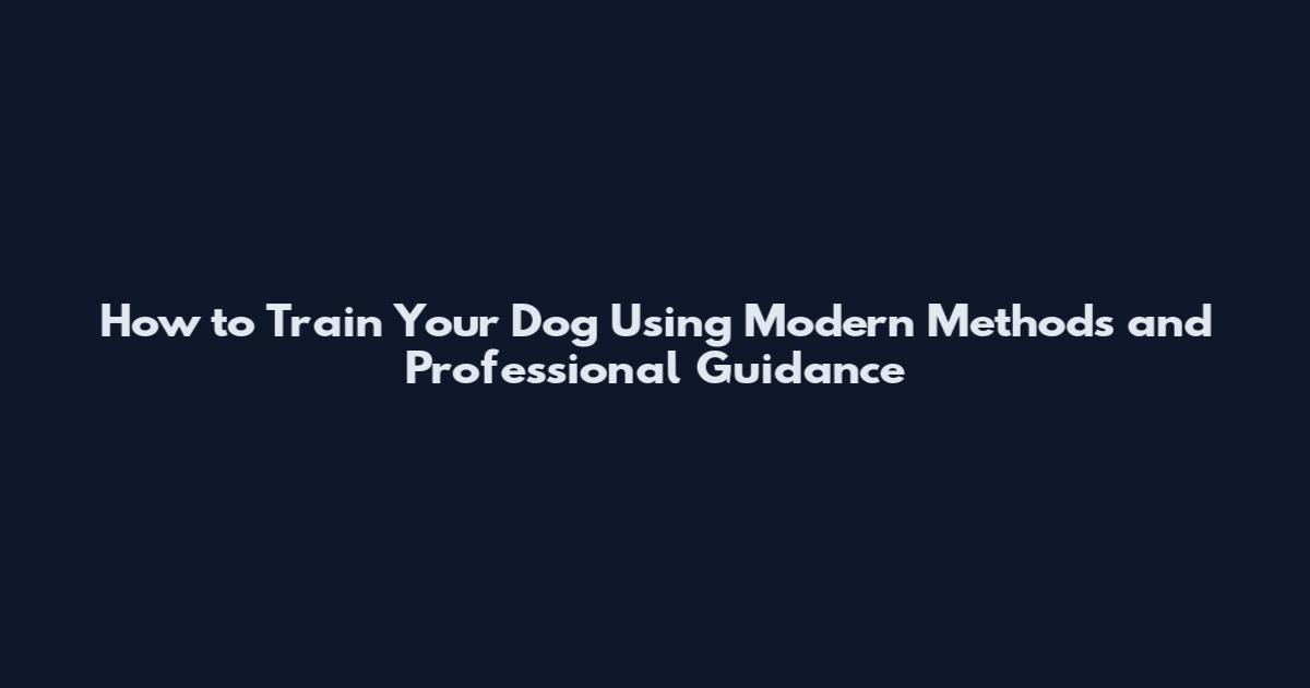 How to Train Your Dog Using Modern Methods and Professional Guidance