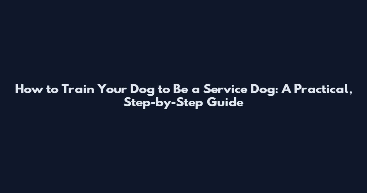 How to Train Your Dog to Be a Service Dog: A Practical, Step-by-Step Guide