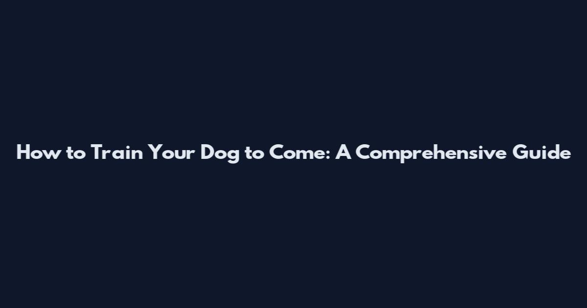 How to Train Your Dog to Come: A Comprehensive Guide