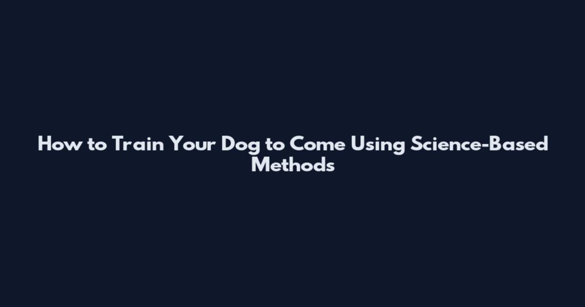 How to Train Your Dog to Come Using Science-Based Methods