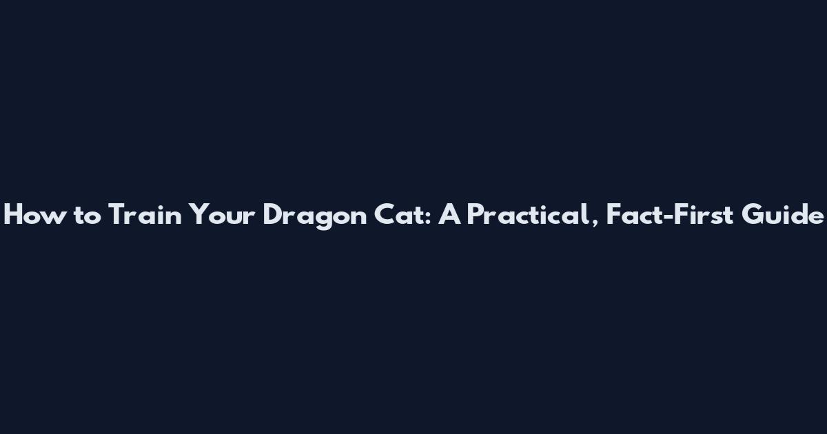 How to Train Your Dragon Cat: A Practical, Fact-First Guide