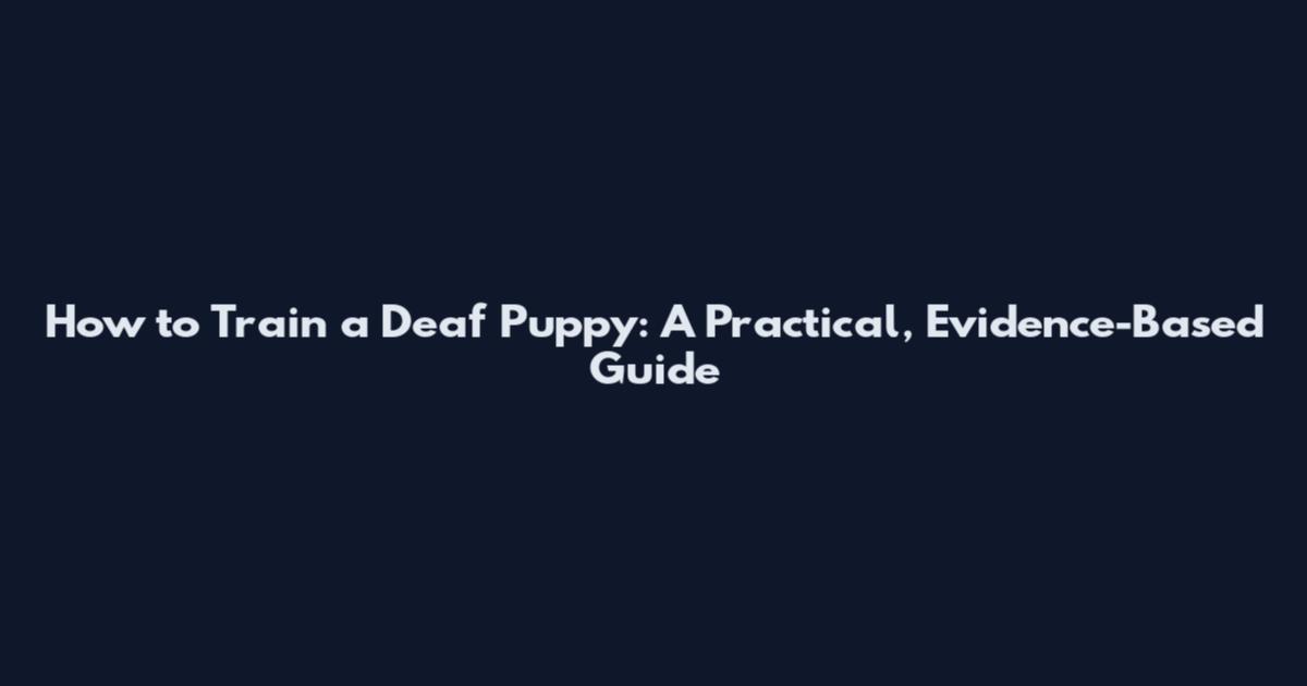 How to Train a Deaf Puppy: A Practical, Evidence-Based Guide