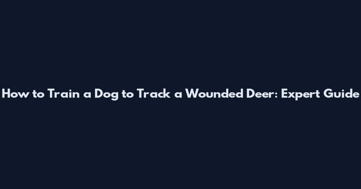 How to Train a Dog to Track a Wounded Deer: Expert Guide