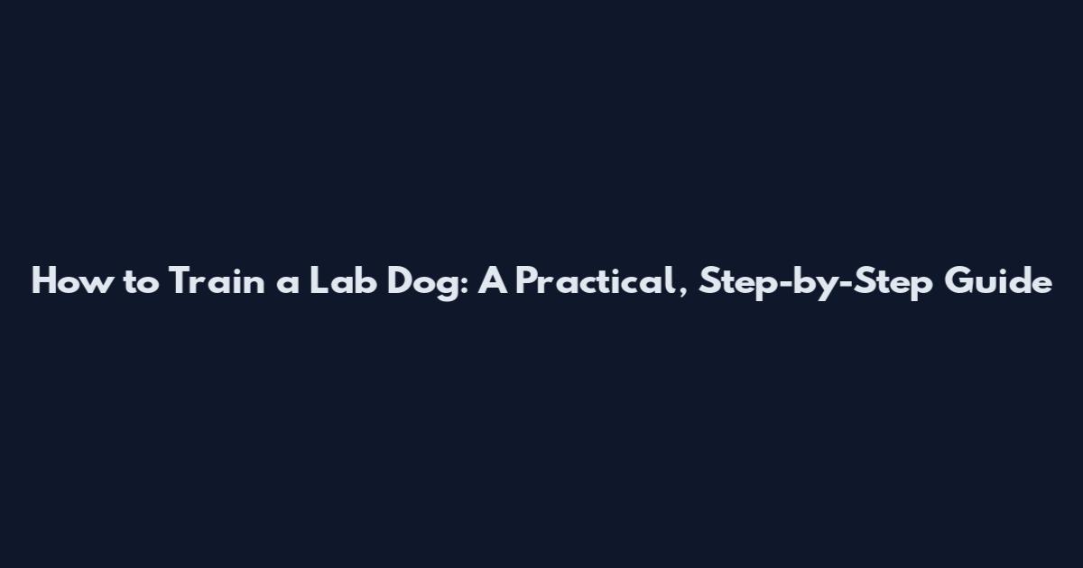 How to Train a Lab Dog: A Practical, Step-by-Step Guide
