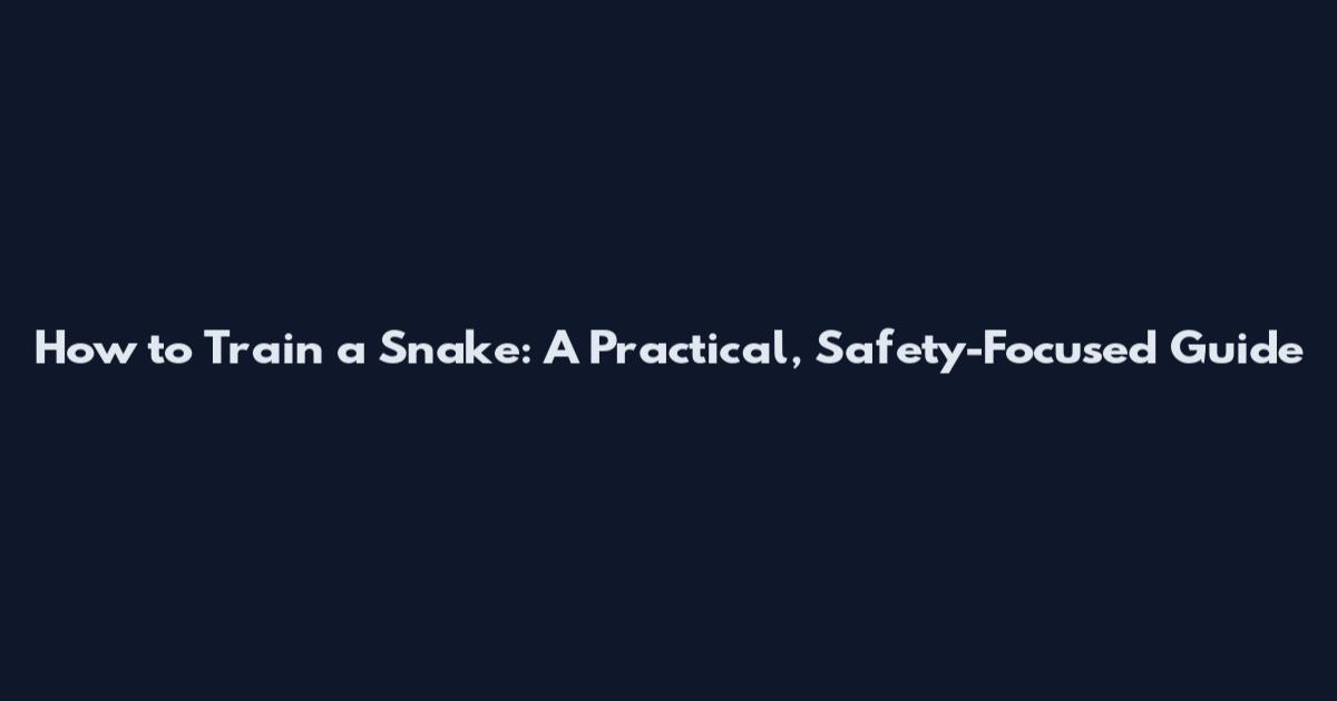 How to Train a Snake: A Practical, Safety-Focused Guide