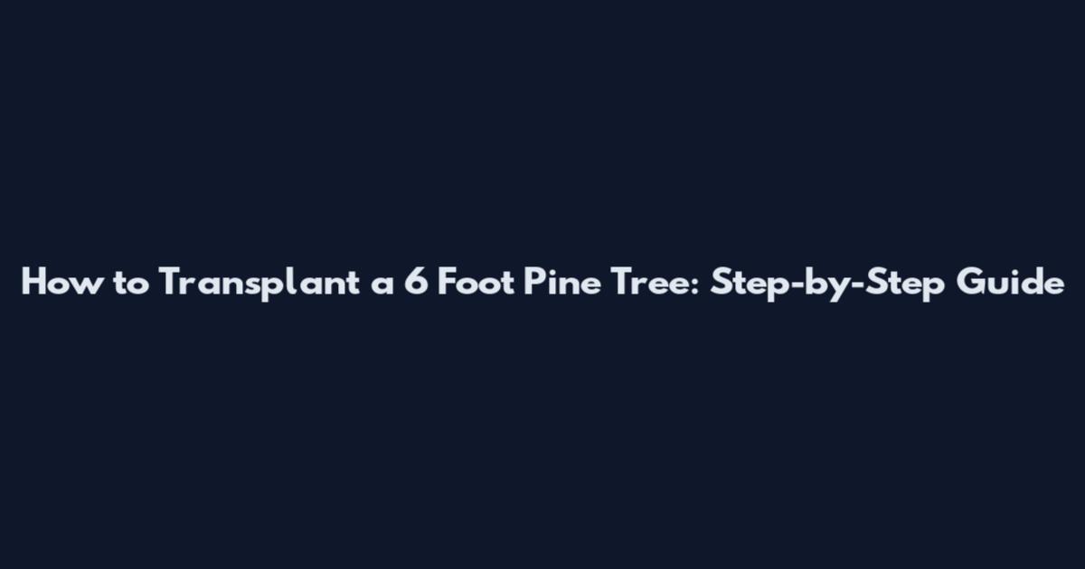 How to Transplant a 6 Foot Pine Tree: Step-by-Step Guide