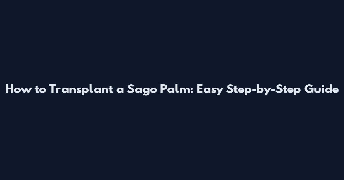 How to Transplant a Sago Palm: Easy Step-by-Step Guide