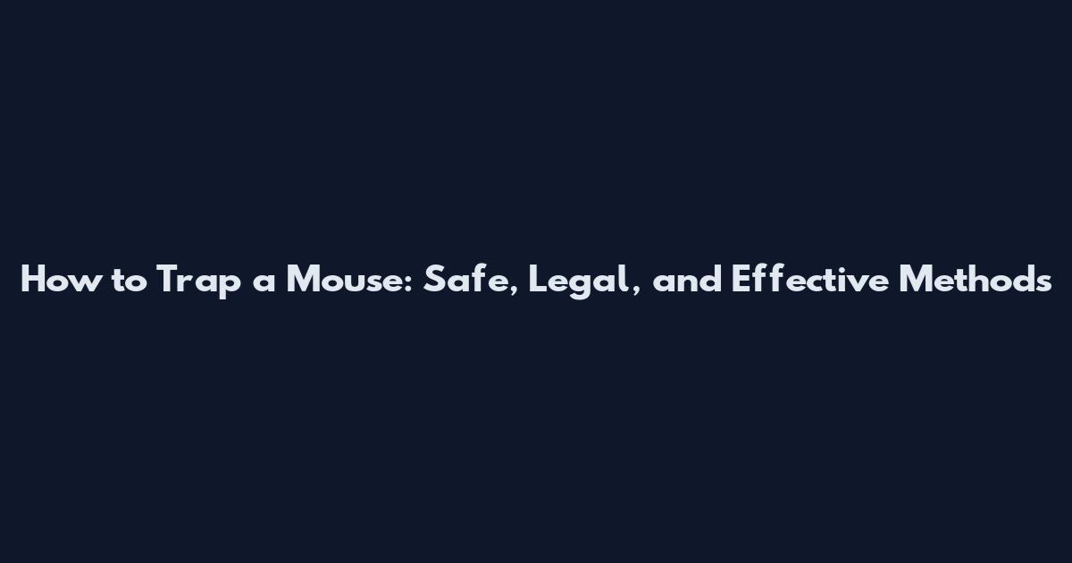How to Trap a Mouse: Safe, Legal, and Effective Methods
