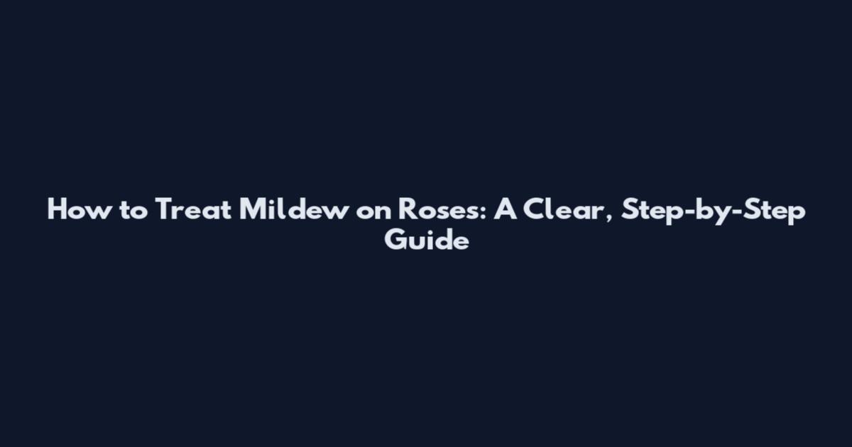 How to Treat Mildew on Roses: A Clear, Step-by-Step Guide