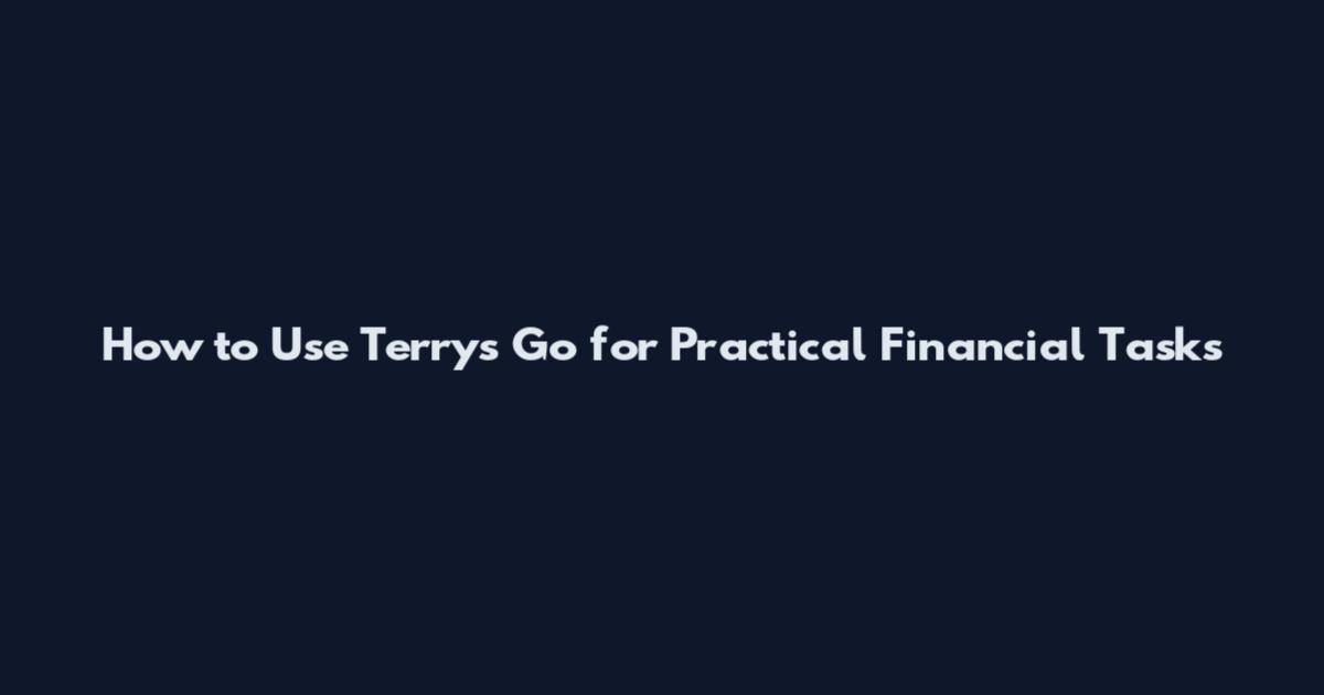 How to Use Terry's Go for Practical Financial Tasks