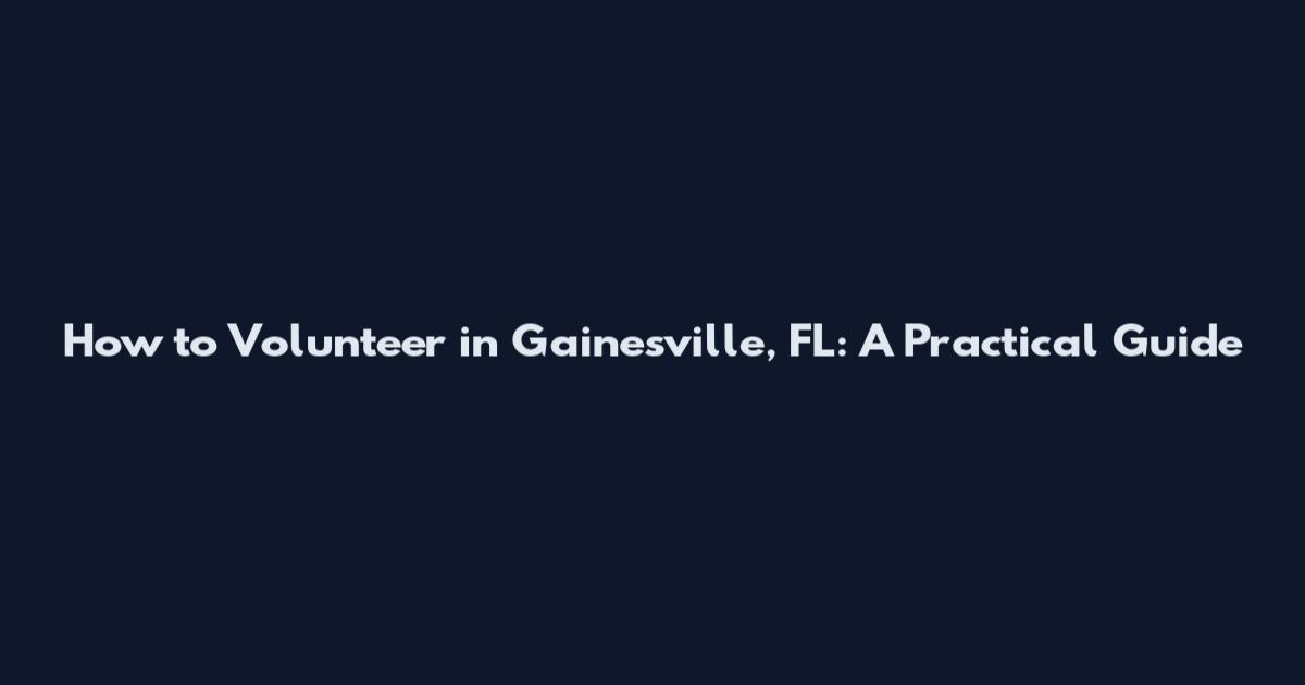 How to Volunteer in Gainesville, FL: A Practical Guide