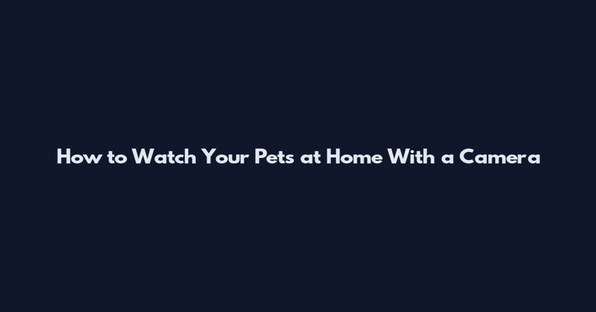How to Watch Your Pets at Home With a Camera