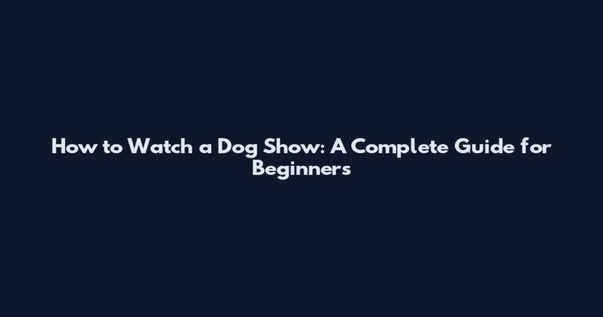 How to Watch a Dog Show: A Complete Guide for Beginners