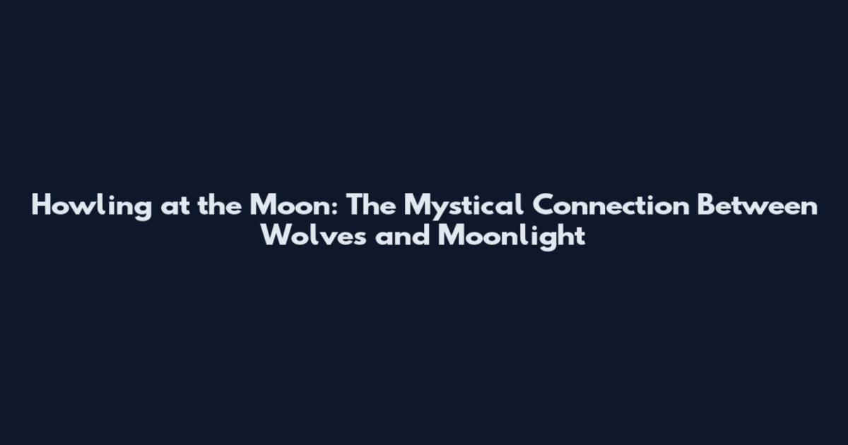 Howling at the Moon: The Mystical Connection Between Wolves and Moonlight