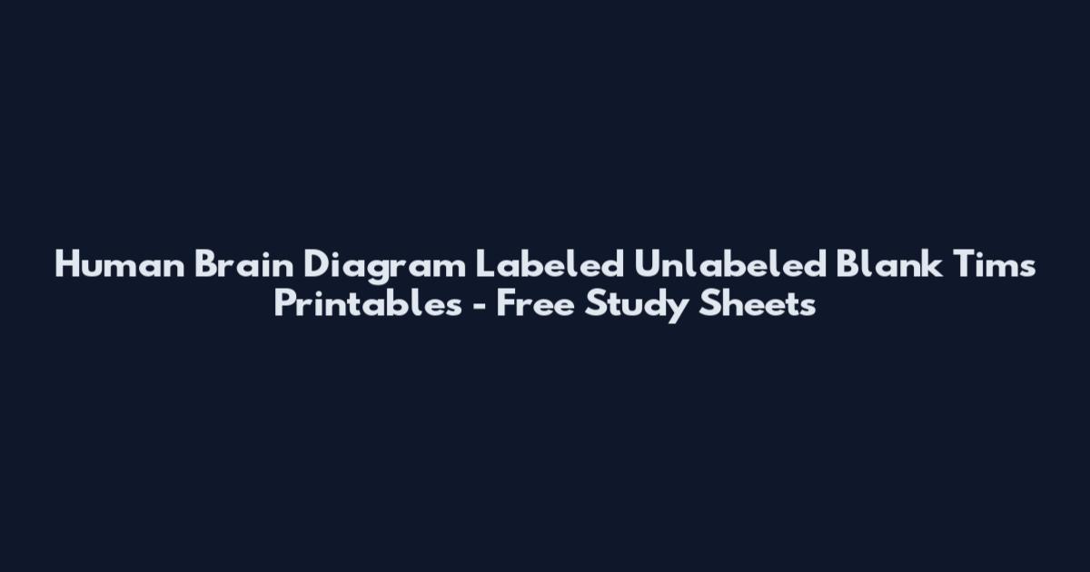 Human Brain Diagram Labeled Unlabeled Blank Tim's Printables - Free Study Sheets