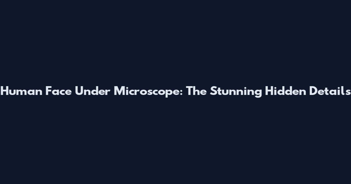 Human Face Under Microscope: The Stunning Hidden Details