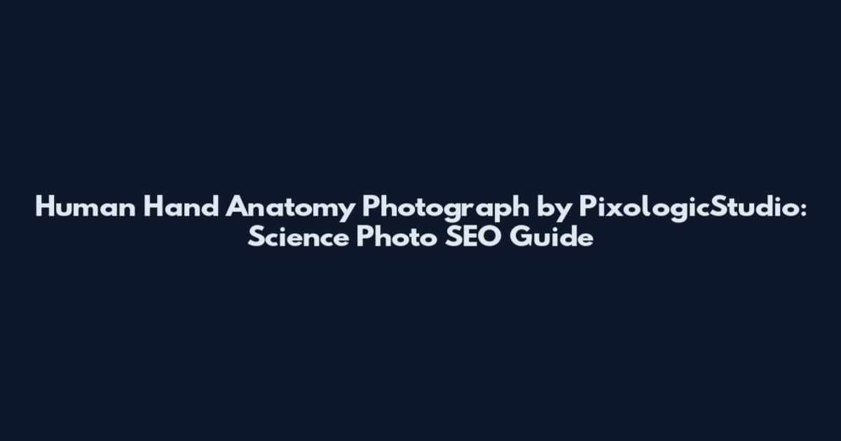 Human Hand Anatomy Photograph by PixologicStudio: Science Photo SEO Guide