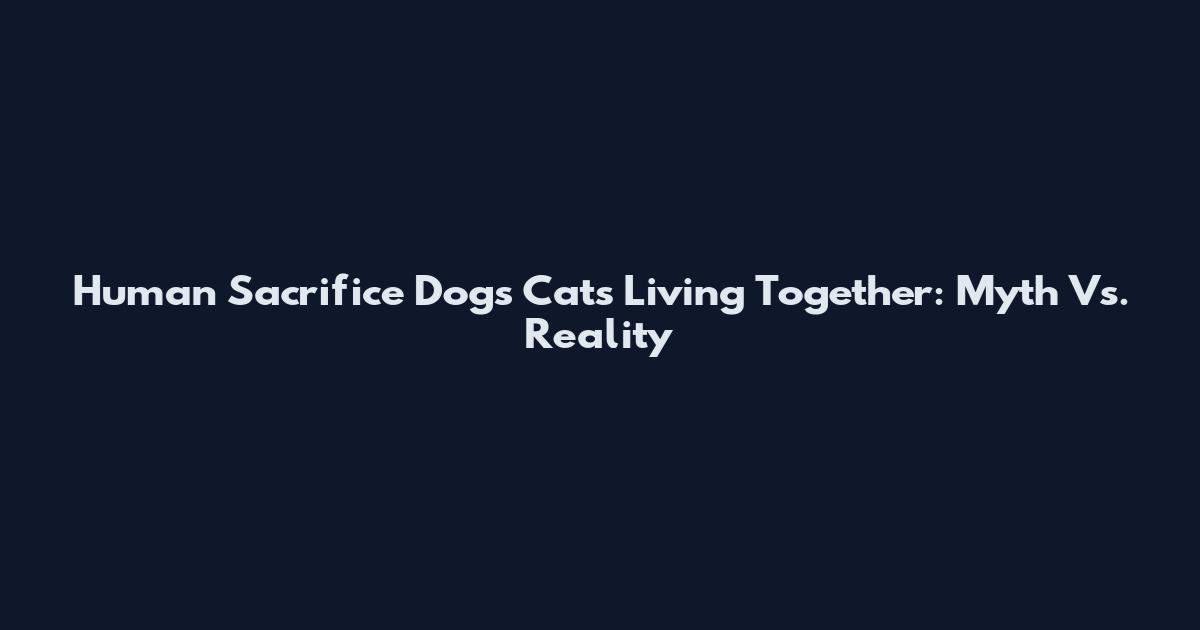 Human Sacrifice Dogs Cats Living Together: Myth Vs. Reality