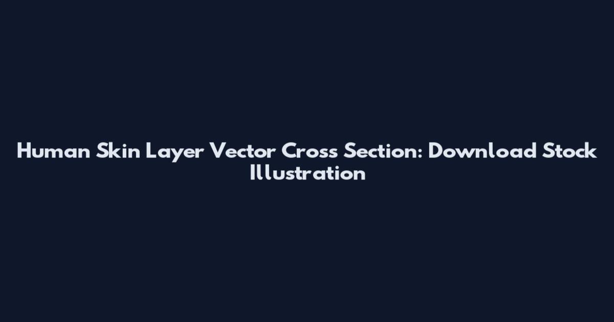 Human Skin Layer Vector Cross Section: Download Stock Illustration