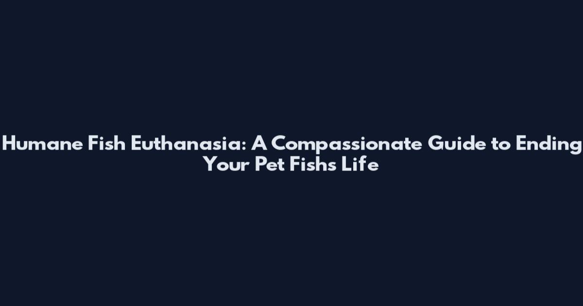 Humane Fish Euthanasia: A Compassionate Guide to Ending Your Pet Fish's Life