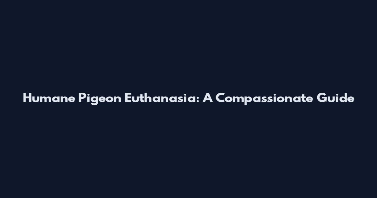Humane Pigeon Euthanasia: A Compassionate Guide