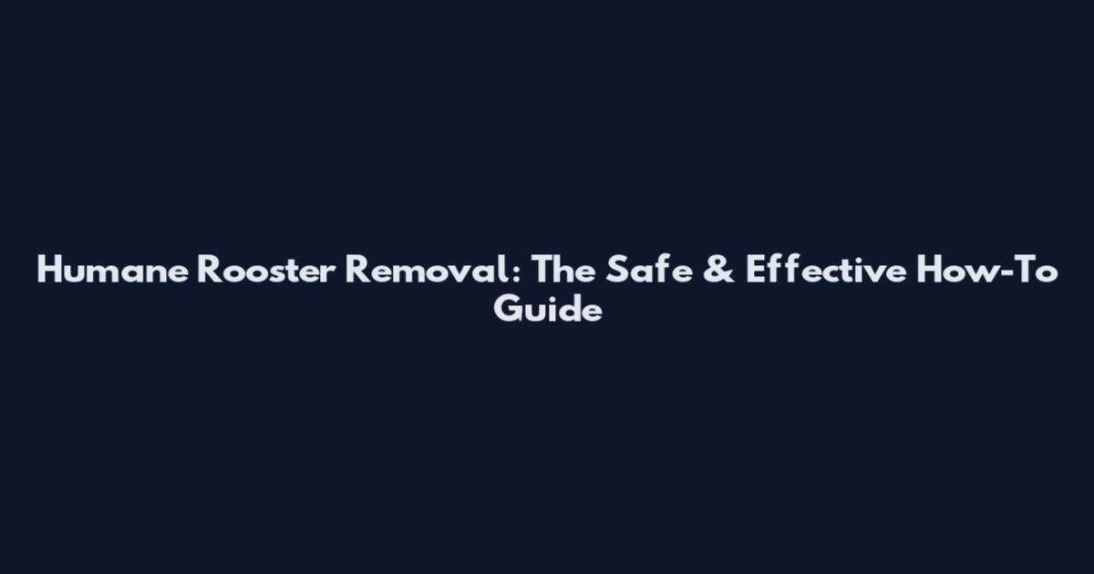 Humane Rooster Removal: The Safe & Effective How-To Guide