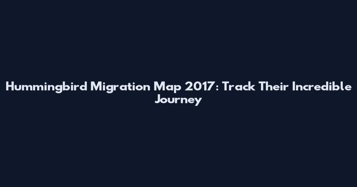 Hummingbird Migration Map 2017: Track Their Incredible Journey