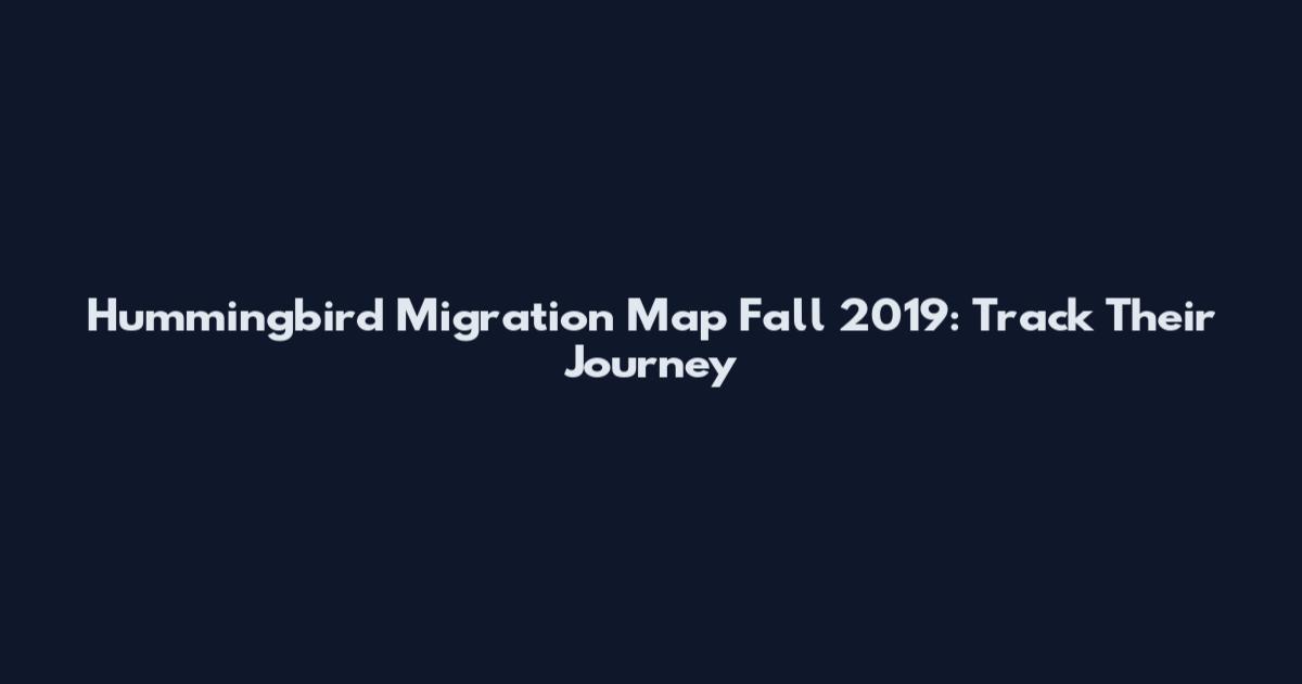 Hummingbird Migration Map Fall 2019: Track Their Journey