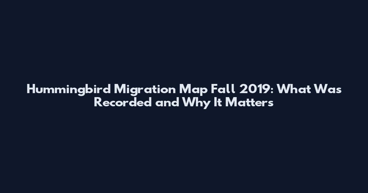 Hummingbird Migration Map Fall 2019: What Was Recorded and Why It Matters