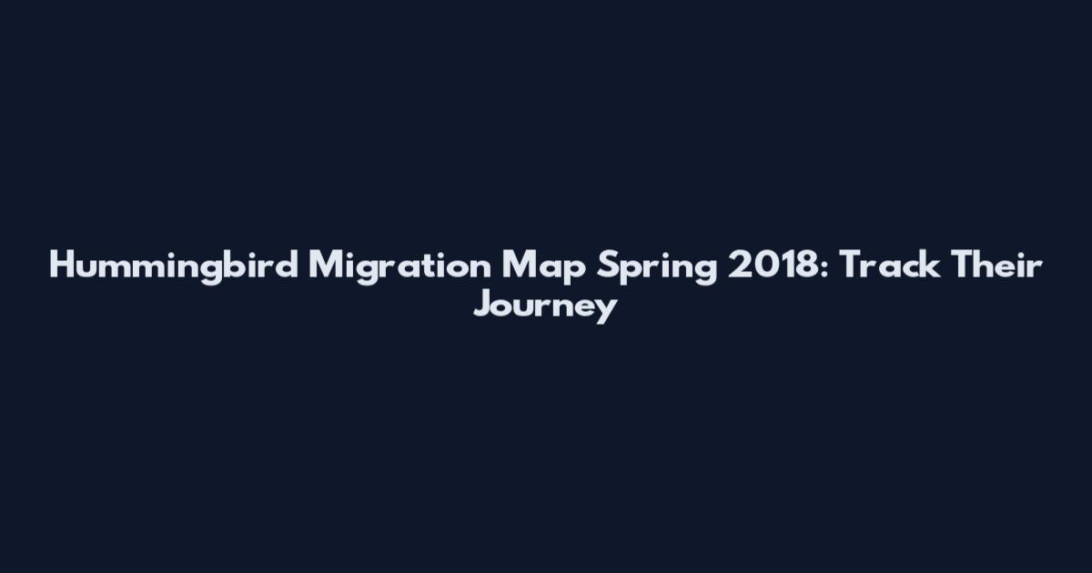 Hummingbird Migration Map Spring 2018: Track Their Journey