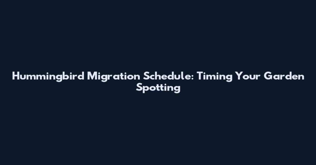 Hummingbird Migration Schedule: Timing Your Garden Spotting