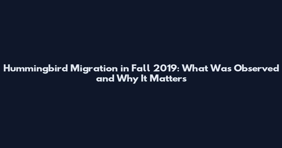 Hummingbird Migration in Fall 2019: What Was Observed and Why It Matters