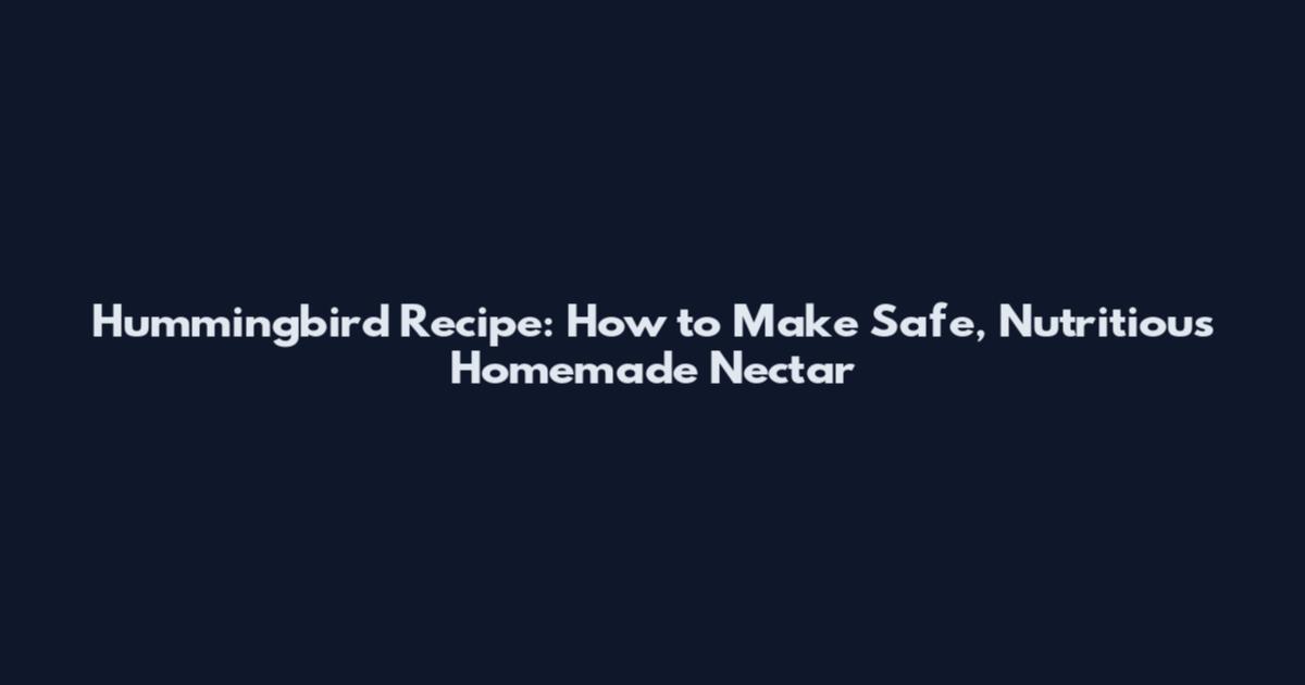Hummingbird Recipe: How to Make Safe, Nutritious Homemade Nectar