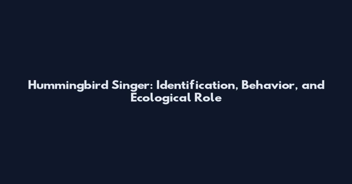 Hummingbird Singer: Identification, Behavior, and Ecological Role