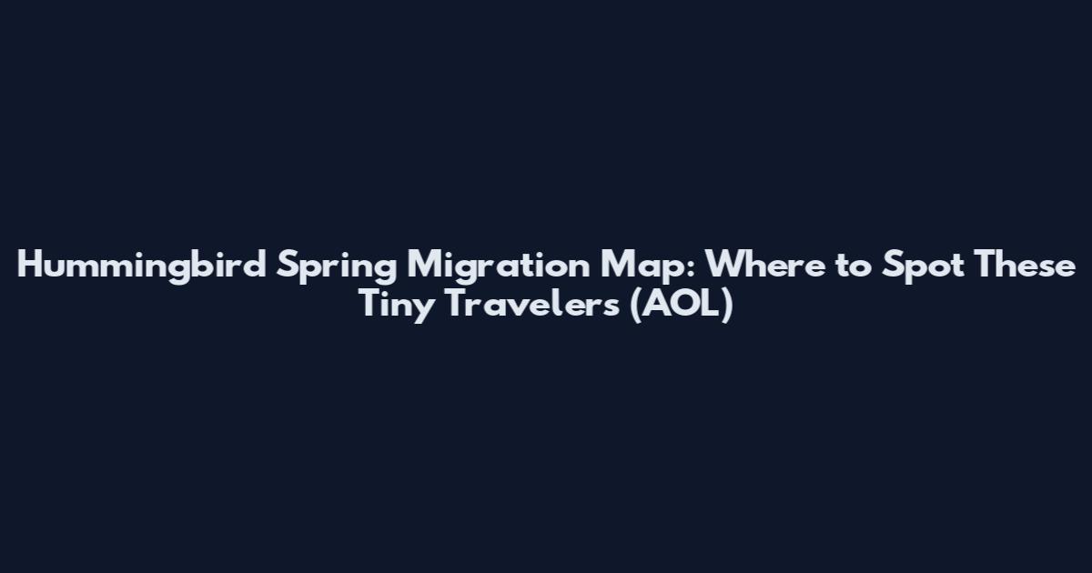 Hummingbird Spring Migration Map: Where to Spot These Tiny Travelers (AOL)