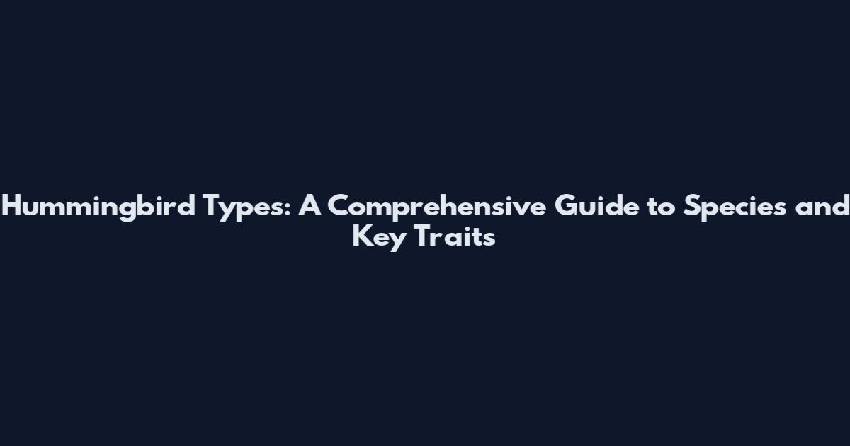Hummingbird Types: A Comprehensive Guide to Species and Key Traits