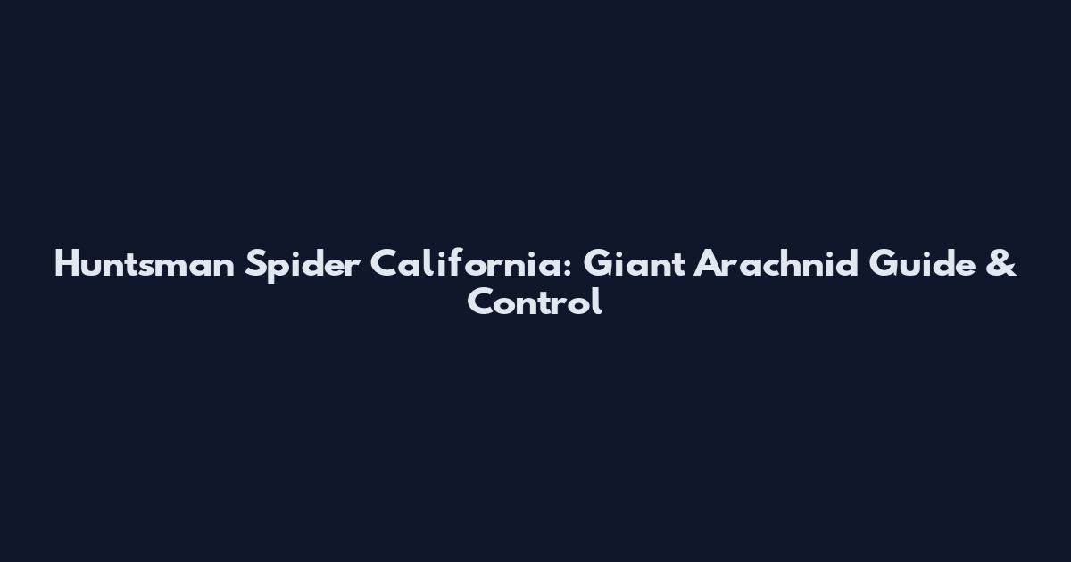 Huntsman Spider California: Giant Arachnid Guide & Control